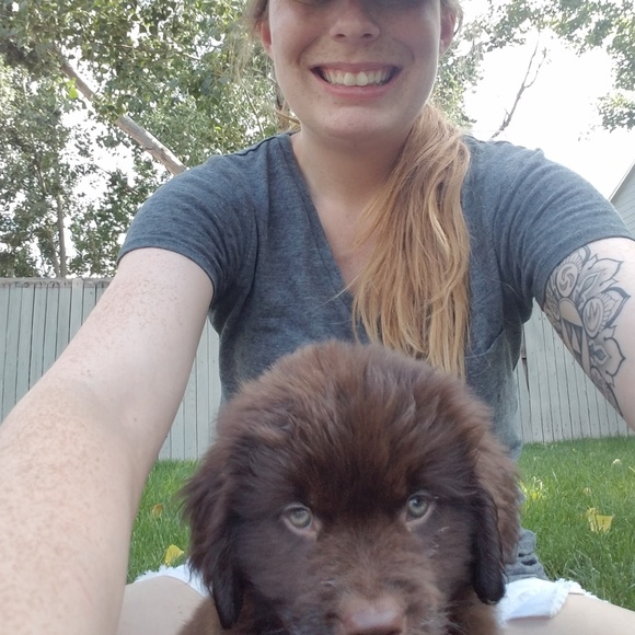 Meet your Posher, Sheila - Picture 3 of 5